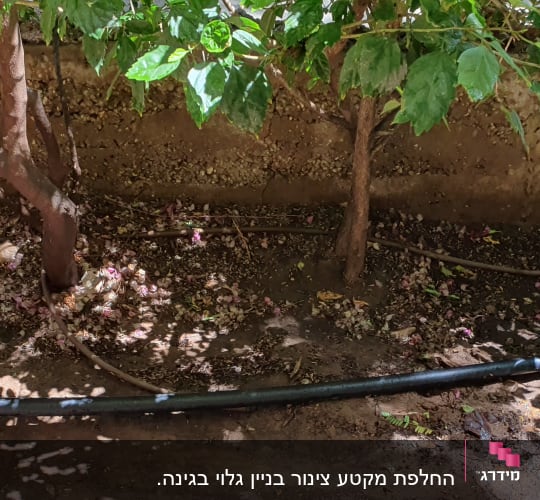 צינור השקיה שחור עם מחבר בגינה